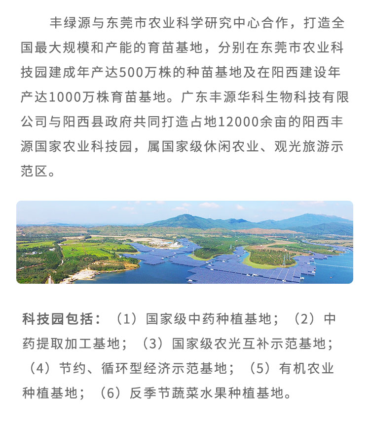 豐綠源與東莞市農(nóng)業(yè)科學(xué)研究中心合作，致力于打造大規(guī)模和產(chǎn)能的育苗基地，分別在東莞市農(nóng)業(yè)科技園建成年產(chǎn)達500萬株的種苗基地及在陽西建設(shè)年產(chǎn)達1000萬株育苗基地。廣東豐源華科生物科技有限公司與陽西縣政府共同打造占地12000余畝的陽西豐源國家農(nóng)業(yè)科技園，屬休閑農(nóng)業(yè)、觀光旅游示范區(qū)?？萍紙@包括：（1)中藥種植基地；（2)中藥提取加工基地；（3)農(nóng)光互補示范基地；（4)節(jié)約、循環(huán)型經(jīng)濟示范基地；（5)有機農(nóng)業(yè)種植基地；(6)反季節(jié)蔬菜水果種植基地。
