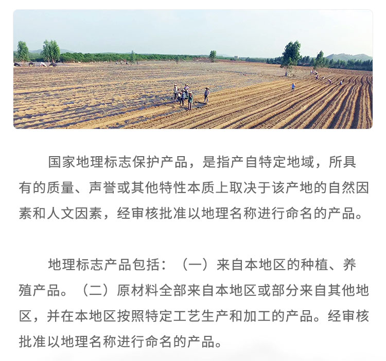 國家地理標志保護產(chǎn)品，是指產(chǎn)自特定地域，所具有的質(zhì)量、聲譽或其他特性本質(zhì)上取決于該產(chǎn)地的自然因素和人文因素，經(jīng)審核批準以地理名稱進行命名的產(chǎn)品。地理標志產(chǎn)品包括: (一) 來自本地區(qū)的種植、養(yǎng)殖產(chǎn)品。，(二)原材料全部來自本地區(qū)或部分來自其他地區(qū)，并在本地區(qū)按照特定工藝生產(chǎn)和加工的產(chǎn)品。經(jīng)審核批準以地理名稱進行命名的產(chǎn)品。
