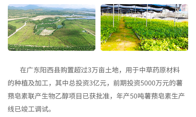 在廣東陽西縣購置超過3萬畝土地,用于中草藥原材料的種植及加工，其中總投資3億元，前期投資5000萬元的薯蕷皂素聯(lián)產(chǎn)生物乙醇項(xiàng)目已獲批準(zhǔn)，年產(chǎn)50噸薯蕷皂素生產(chǎn)線已竣工調(diào)試。